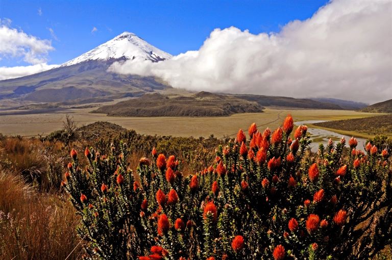 Von Galápagos nach Machu Picchu ©robert/adobestock